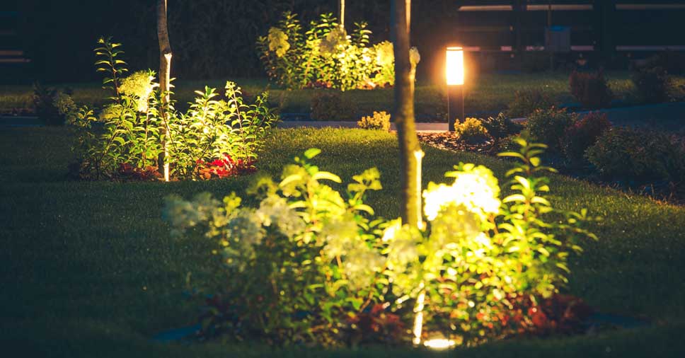 Jardins Noturnos com Iluminação LED: Magia Sob as Estrelas - detalhe