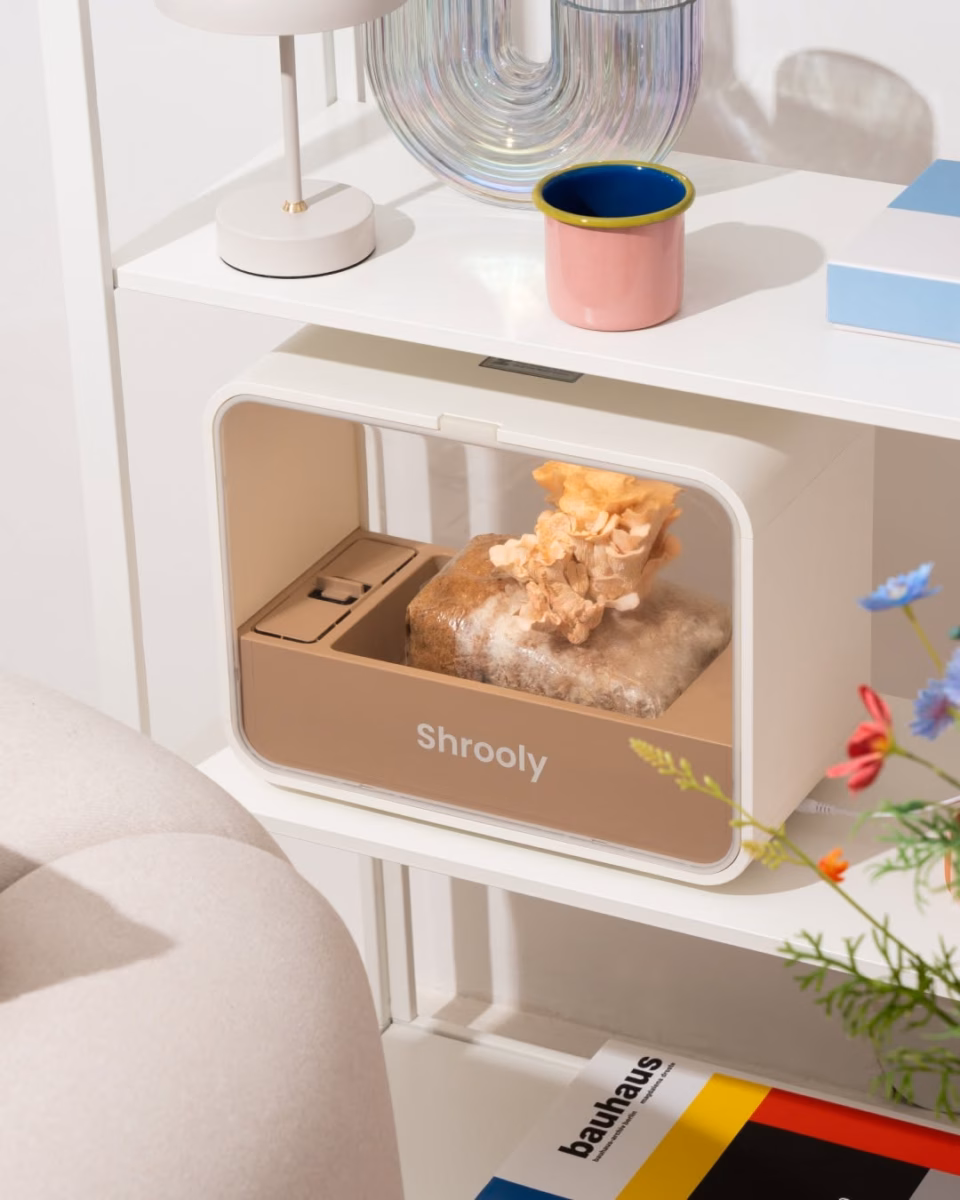 nichos decorativos - referência 13