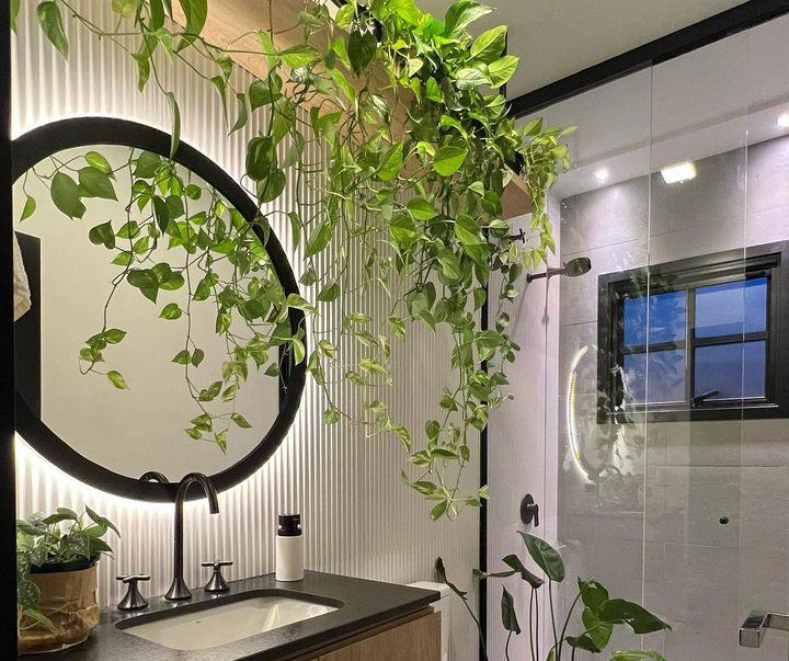 Plantas Pendentes no Box: Um Banho de Natureza - detalhe
