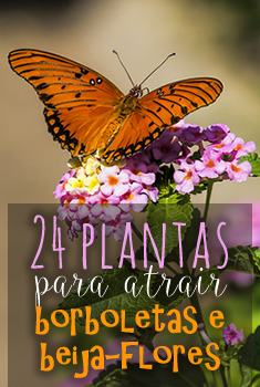 Em Varandas e Sacadas com Treliças Floridas - detalhe