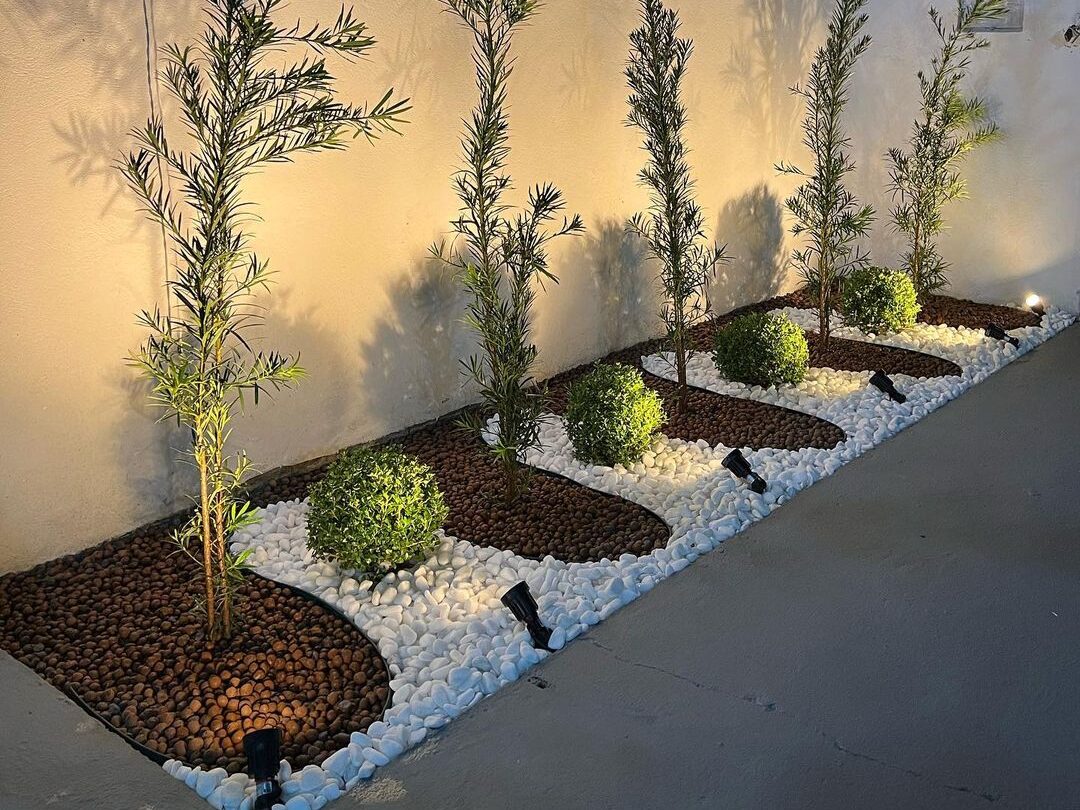 Cerca Viva Minimalista: Podocarpo, Elegância Vertical para Espaços Modernos - detalhe