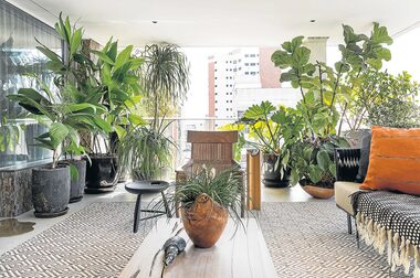 Varanda Tropical com Estampas Vibrantes e Plantas Exuberantes - ideia