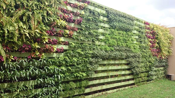 Jardim Vertical com Irrigação Automática: O Paraíso na Sua Parede - ideia