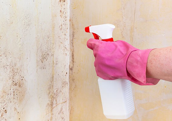 Luz e Sombra: Iluminação Estratégica para Disfarçar Imperfeições - ideia