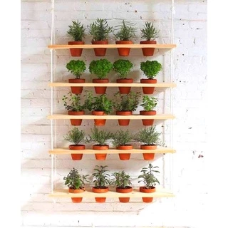 Paredes Vivas com Prateleiras e Plantas Pendentes - detalhe