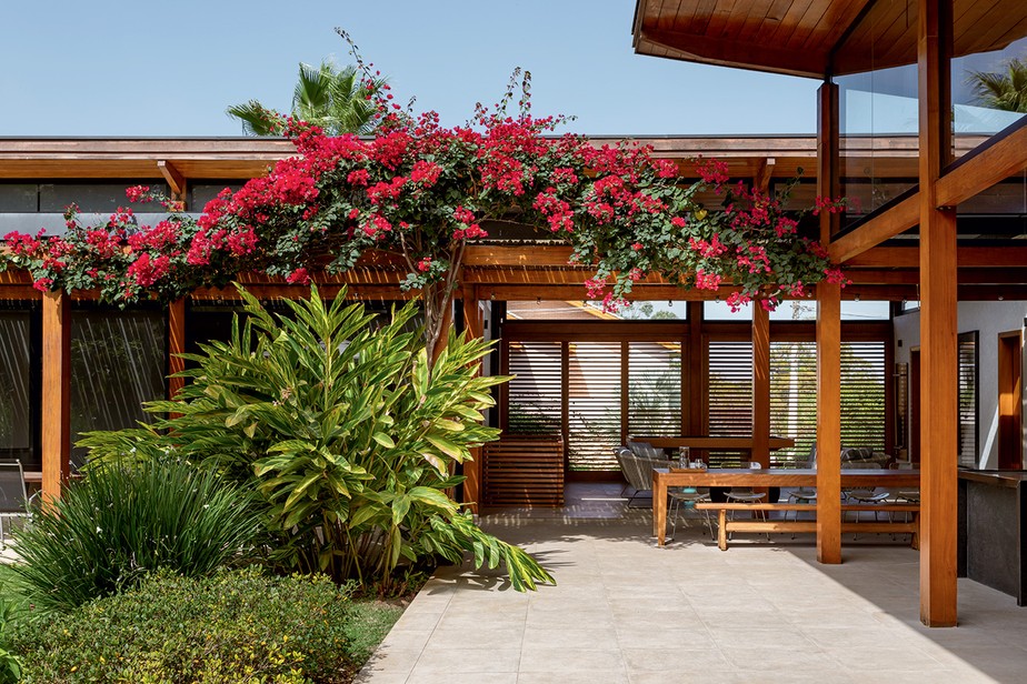 Pergolado Moderno: Design Limpo com Trepadeiras Esculturais - ideia