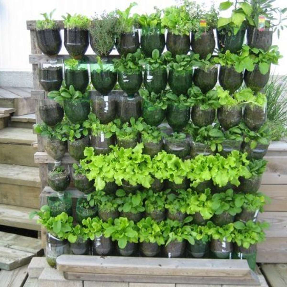 Vasos Autoirrigáveis com Garrafas PET: Sustentabilidade Facilitada - inspiração