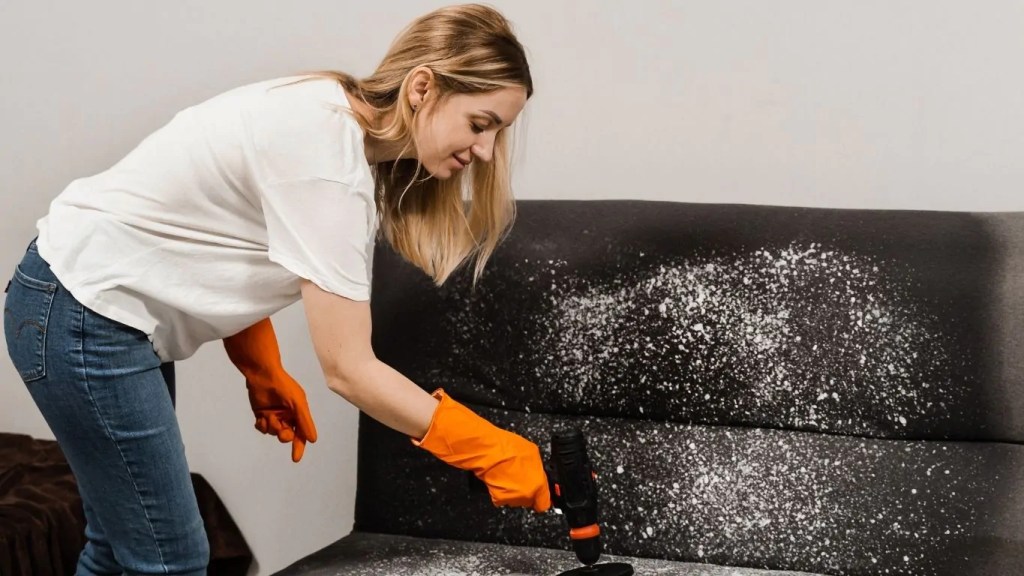 Pó Desengordurante Caseiro: Limpeza Profunda para Sofás Muito Sujos - ideia