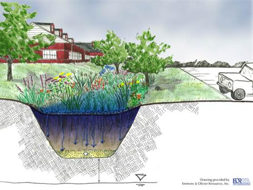 Manutenção Sustentável: Jardins de Chuva Inteligentes - inspiração