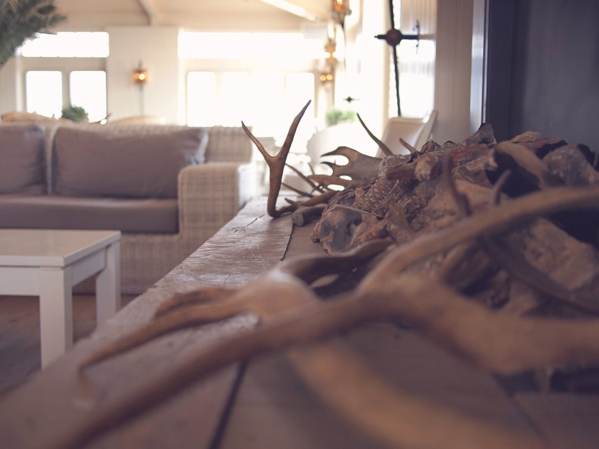 Estofado Rústico com Textura: Realçando a Beleza Natural com Cuidado - ideia