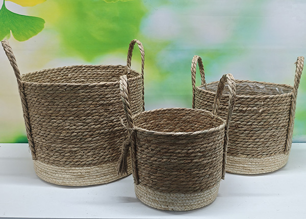 Caixas de Vime para Plantas: Verde Dentro de Casa - inspiração