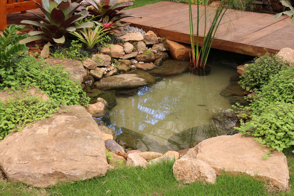 Mini-Lago em Recipiente de Cerâmica com Plantas Aquáticas - ideia