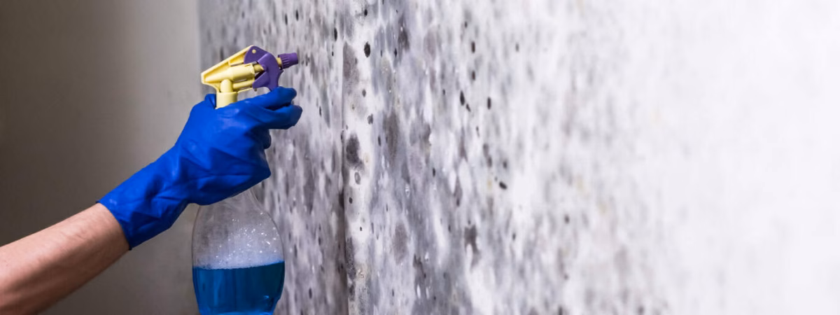 Papel de Parede Texturizado: Uma Camada Extra de Proteção e Beleza - inspiração