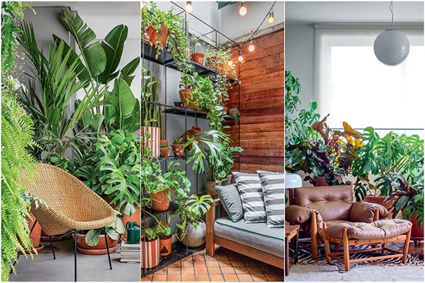 Cantinho Verde com Plantas Suspensas e Vasos de Cerâmica - ideia