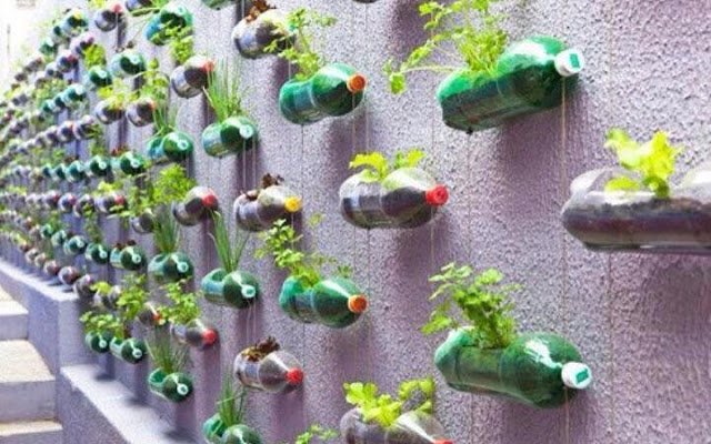 Vasos Autoirrigáveis com Garrafas PET: Sustentabilidade Facilitada - detalhe