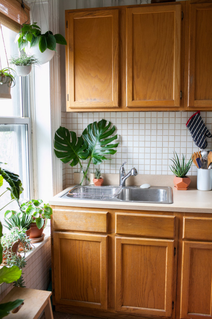 Plantas Aromáticas na Janela: Mini-horta no parapeito da pia - ideia