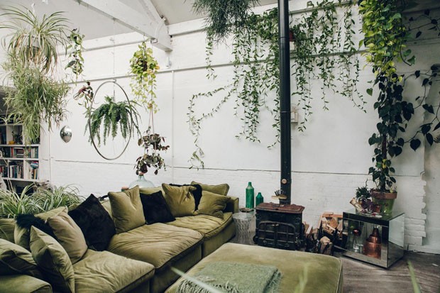 Com Texturas Naturais e Plantas para Quebrar a Friazeza - inspiração