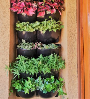 Jardim Vertical Miniatura em Vasos de Plástico Reciclado - detalhe