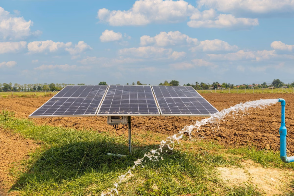 Com Bomba Solar para Irrigação Automática - ideia