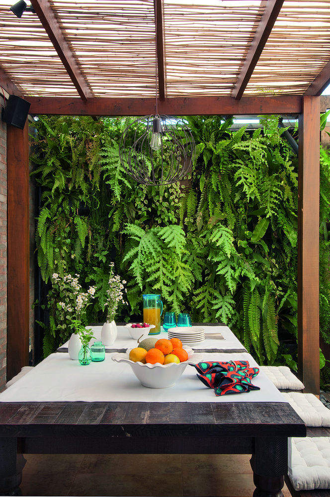 Cobertura de Pergolado com Plantas Trepadeiras: Um Jardim Vertical - detalhe