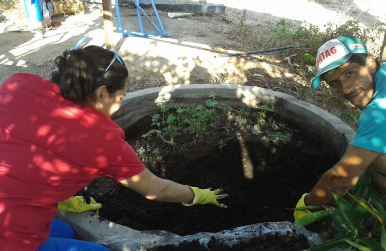 Com Minhocário Doméstico: Reciclagem Criativa e Adubo de Qualidade - detalhe