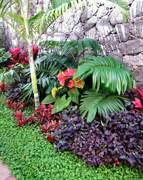 Jardim Tropical Vibrante com Cores Quentes e Folhagens Exuberantes - inspiração