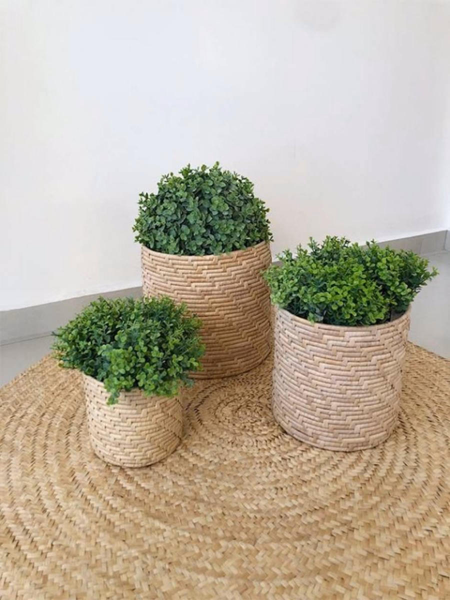 Estilo Natural: Cestas de Palha e Decoração com Plantas - ideia