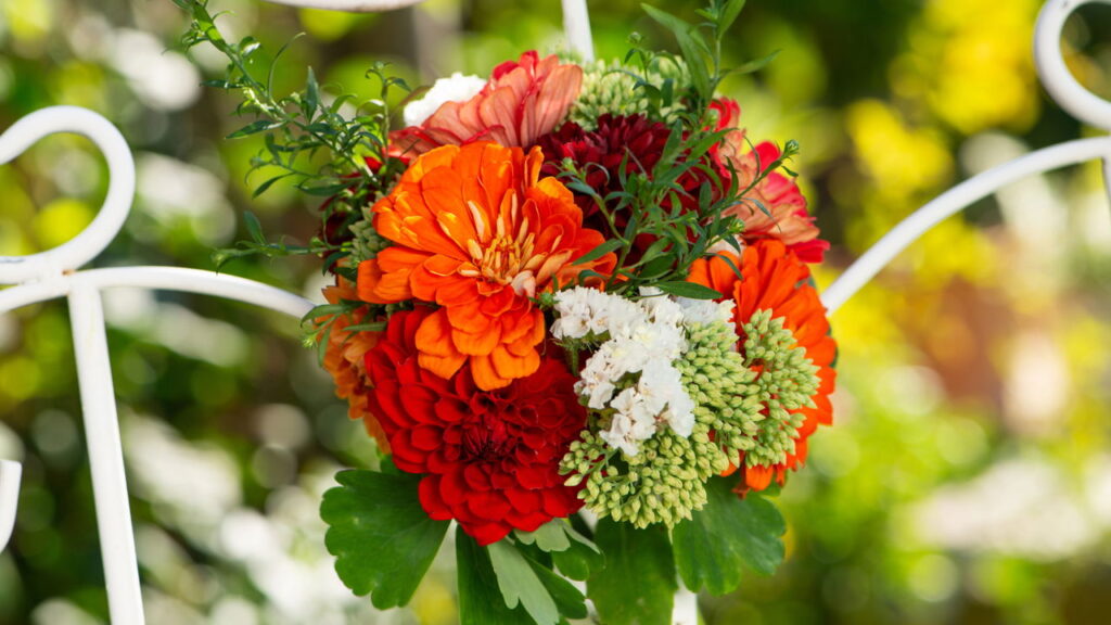 Explosão de Cores: Zínias Vibrantes em Canteiros Despojados e Alegres - ideia