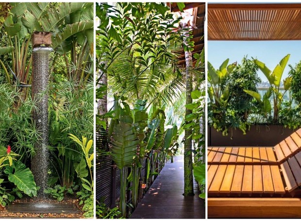 Composição com Diferentes Texturas e Alturas: Um Jardim Tropical - ideia