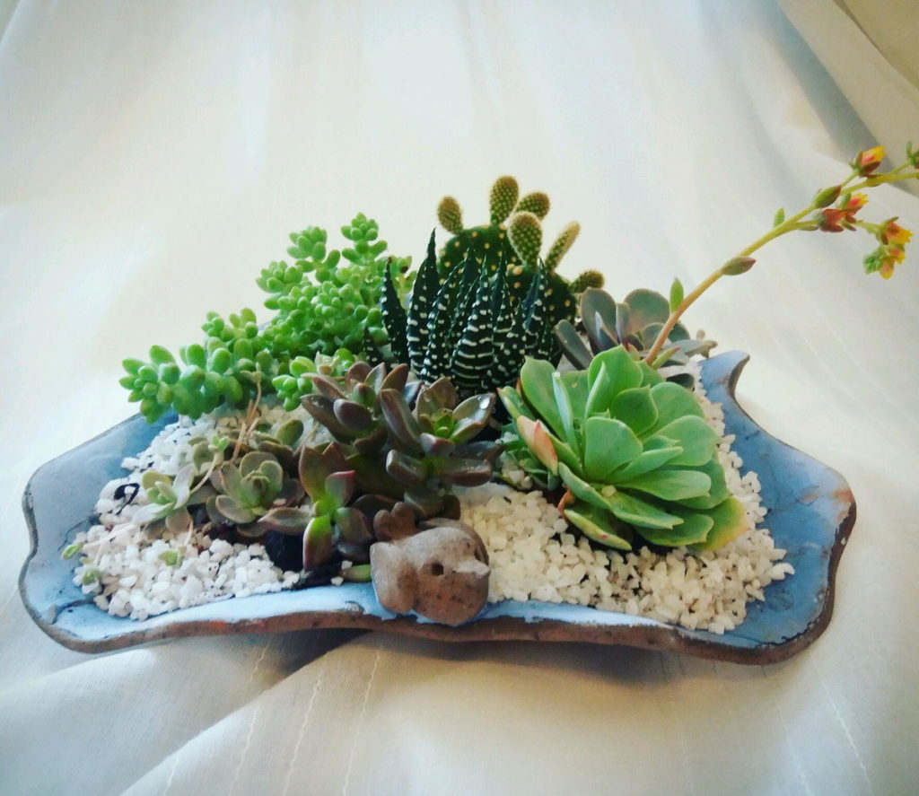 Composição de Suculentas em Terrários Geométricos: Design Moderno - ideia