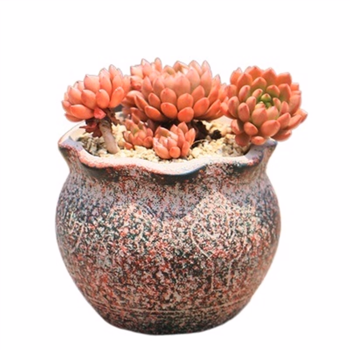 Vasos Esculpidos em Troncos de Árvore: Natureza e Originalidade - ideia