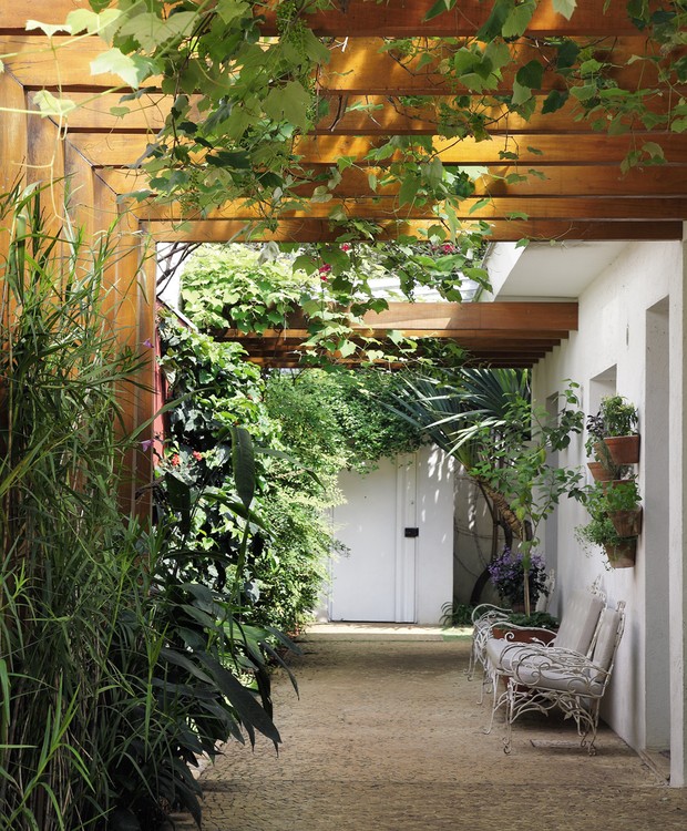 Cobertura de Pergolado com Plantas Trepadeiras: Um Jardim Vertical - ideia