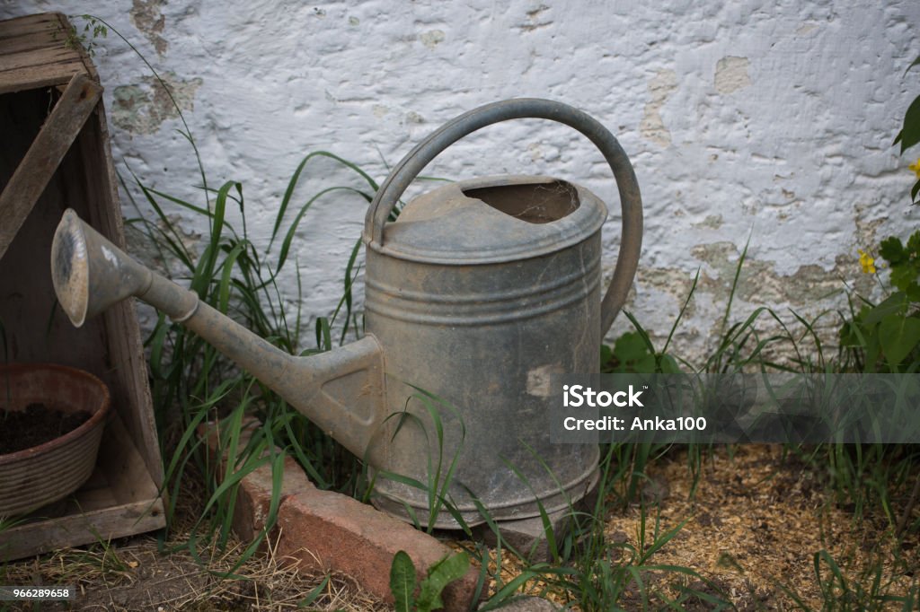 Com Regadores Decorativos Vintage: Um Toque de Nostalgia no Seu Jardim - ideia