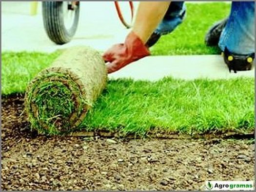 Com Espreguiçadeiras para Relaxamento - inspiração