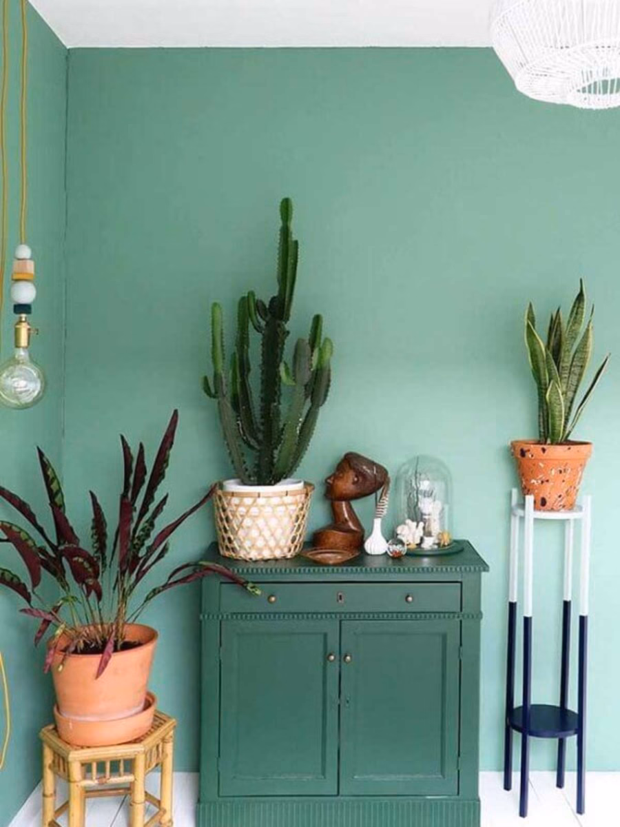 Natureza Refrescante: Tons de Verde e Elementos Naturais - detalhe