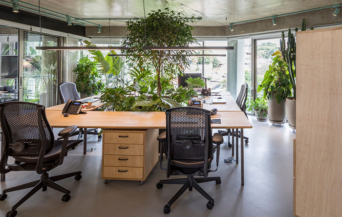 Escritório Botânico: Integrando a Natureza com Vasos, Terrários e Folhagens - inspiração