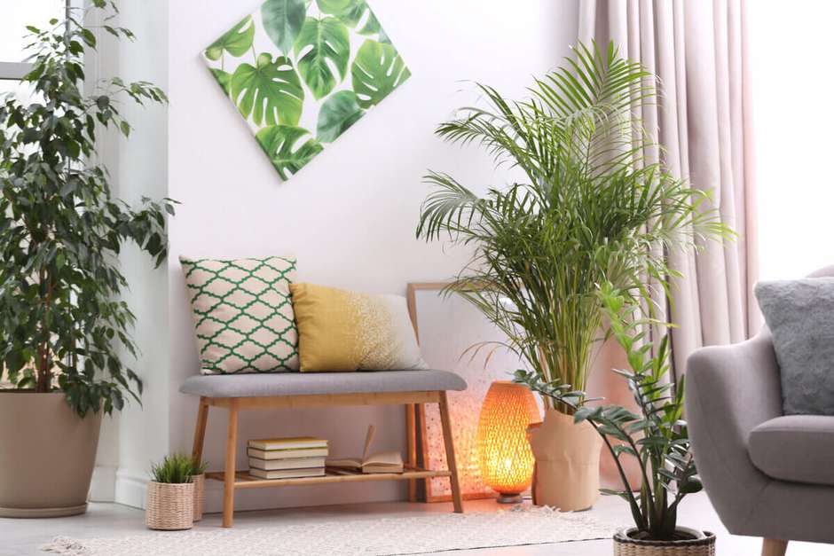 Sala de Estar Tropical com Cores Alegres, Folhagens e Artesanato Brasileiro - ideia