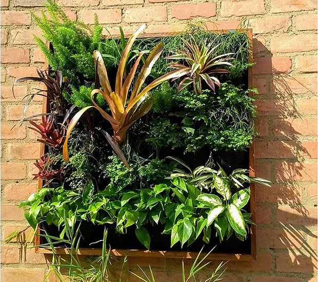 Jardim Vertical Compacto: Fitônias em Painéis de Feltro - inspiração