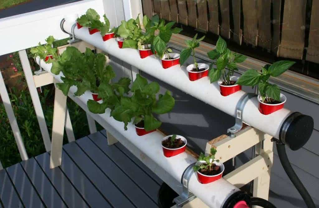 Horta Hidropônica Caseira: Tecnologia e Praticidade ao Seu Alcance - inspiração
