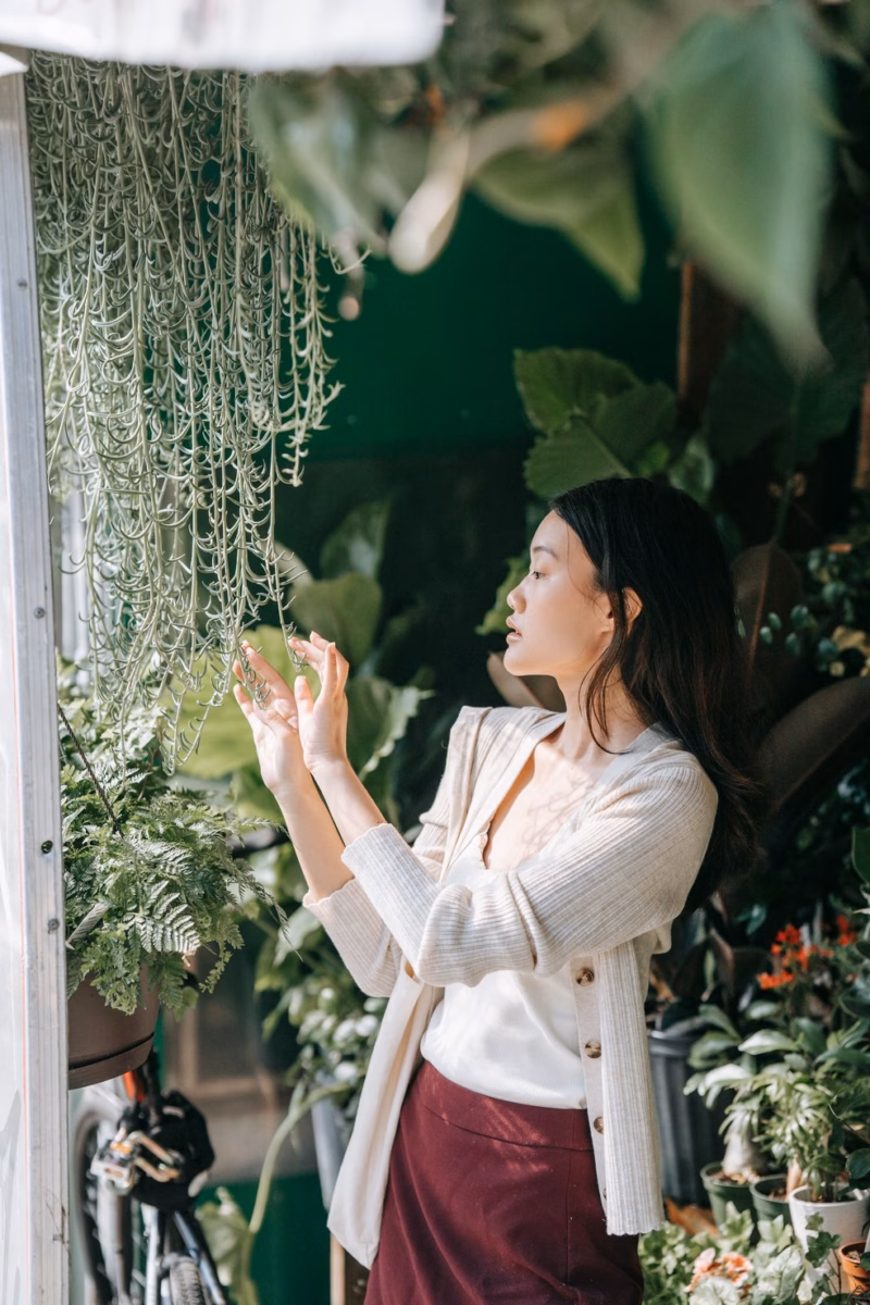 Plantas Pendentes Em Varandas: Cortinas Naturais - inspiração