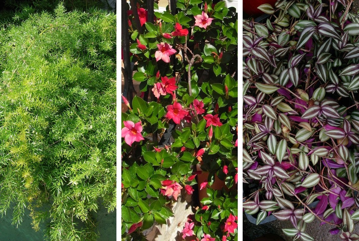 Com Suportes de Metal Minimalistas: Elegância Suspensa - inspiração