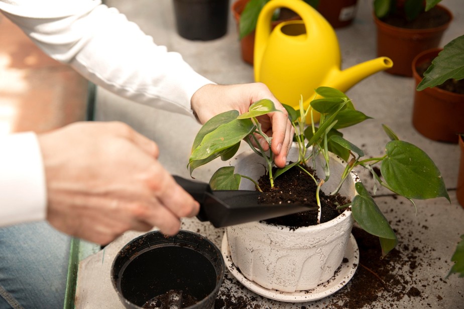 Usando Adubo Bokashi: Tradição Japonesa para um Jardim Vibrante - inspiração