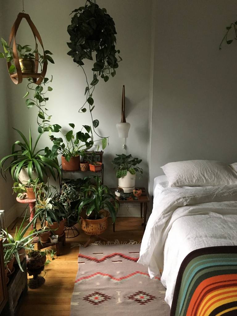 Com Plantas: Natureza e Frescor no Seu Quarto - detalhe