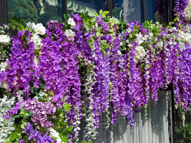 Flores Roxas Suspensas: Um Balé de Cores no Seu Jardim! - ideia