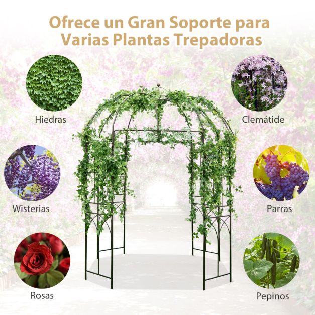 Trepadeiras em Arco Decorado para Celebrar Momentos Especiais - ideia
