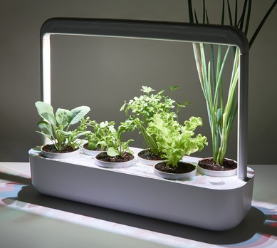 Horta Luminosa com LED: Cultivo Noturno e Decoração Moderna - detalhe