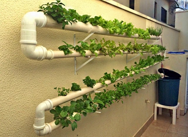 Horta Hidropônica Caseira: Tecnologia e Praticidade ao Seu Alcance - detalhe