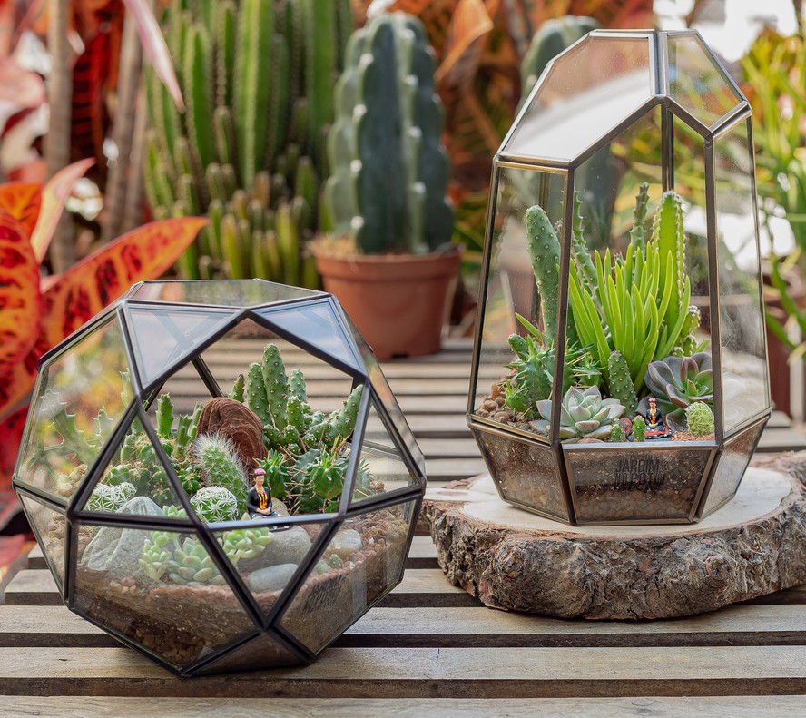 Jardins em Terrários Geométricos: Micro-ecossistemas Encantadores - detalhe