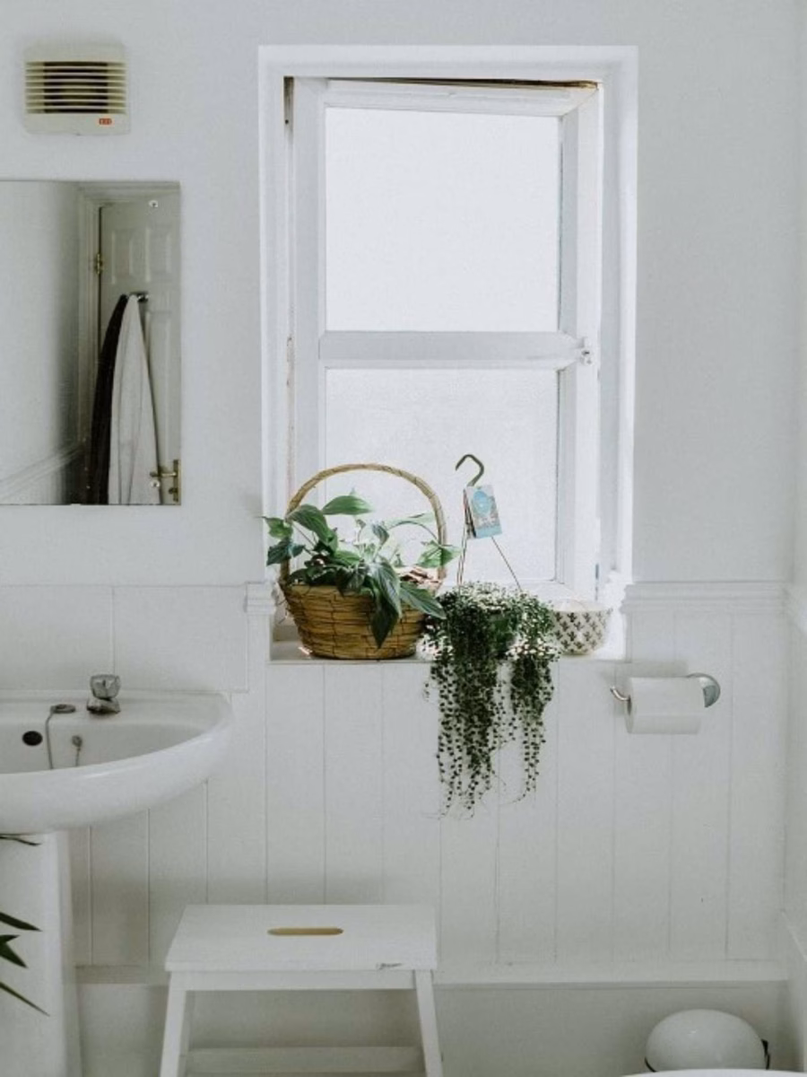 Plantas e Espelhos: Ampliação e Luminosidade - ideia