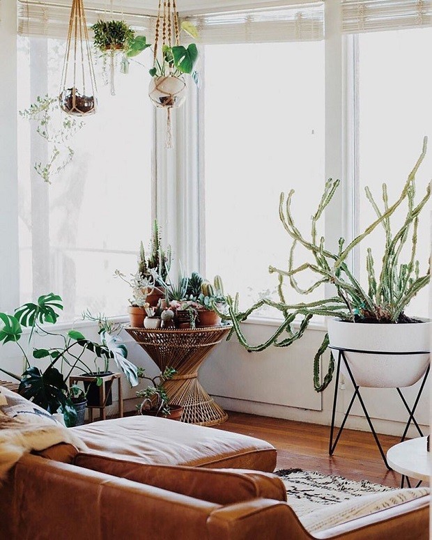 Com Plantas Suspensa em Macramê - inspiração